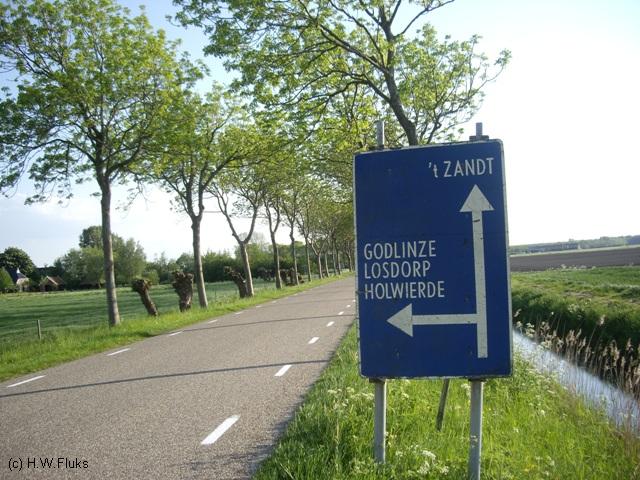 antgodlinze