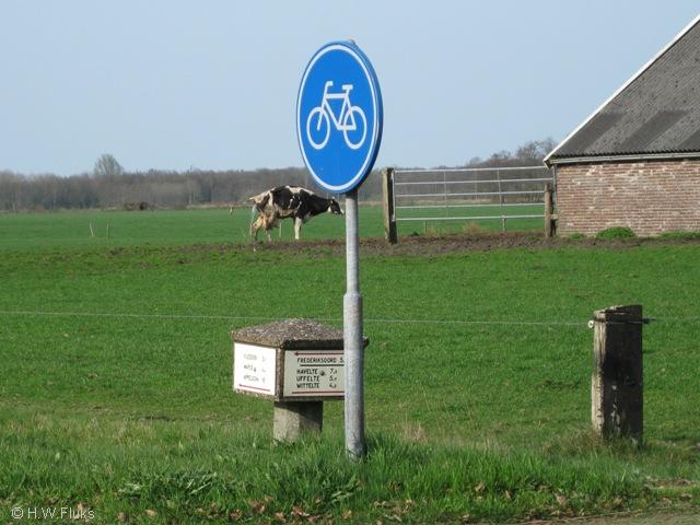 antwapserveen