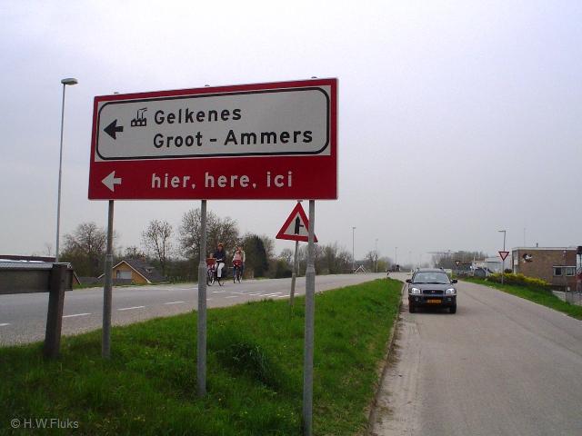 gelkenesiciDSC06392