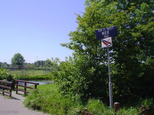 n11nee