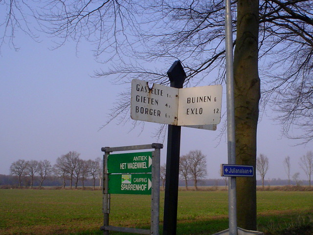 DSC09365antgasselte