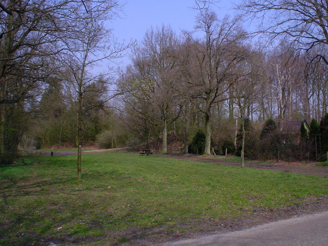 DSC09422oud50f