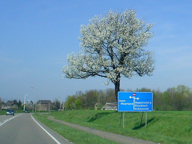 DSC09498n592rijckholt