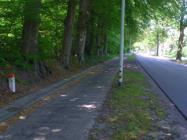 DSC09895glimmenkm2