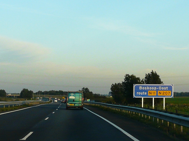 P1000327n11n207