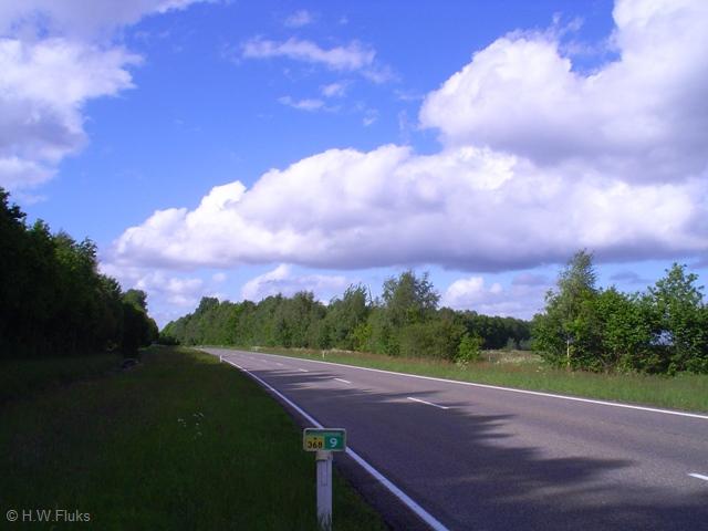 n368