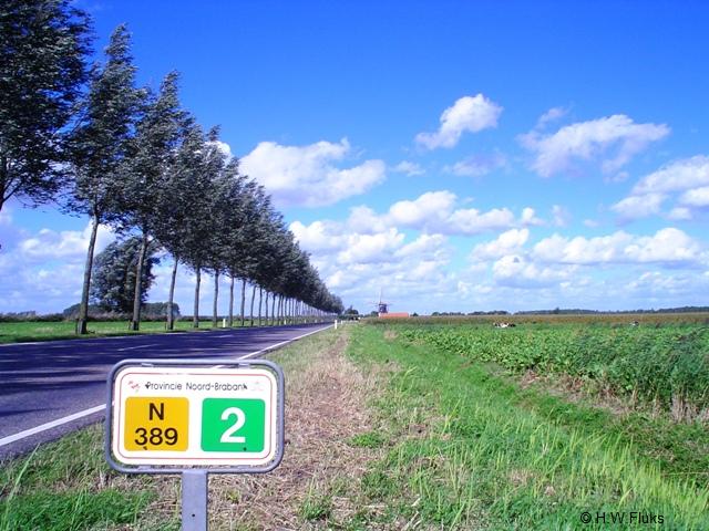 n389