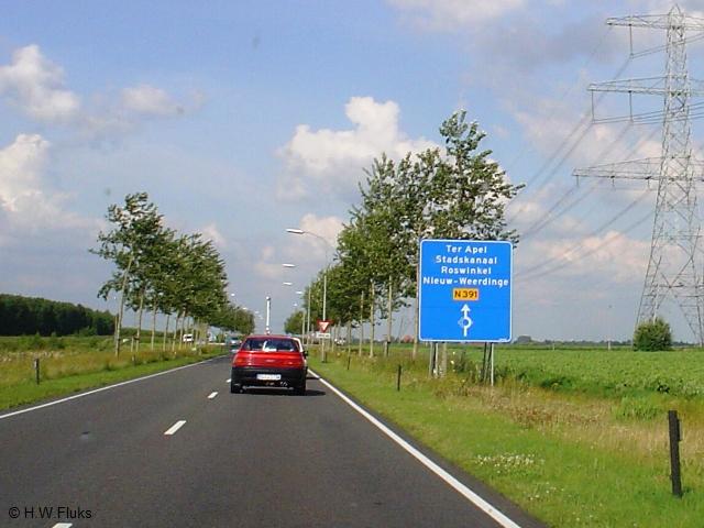 n391