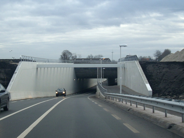 IMGP2735n354jelbesleatakw