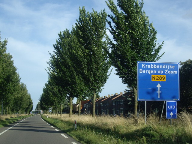 IMGP8468n289u13