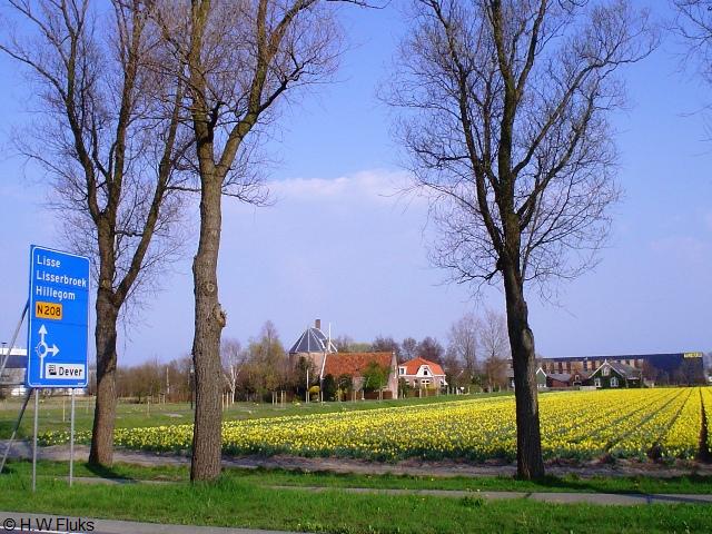 n208deverDSC03947