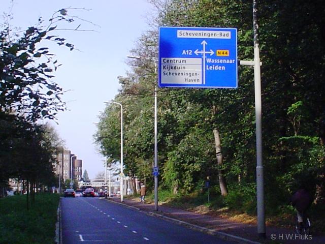 n44hbosDSC05409