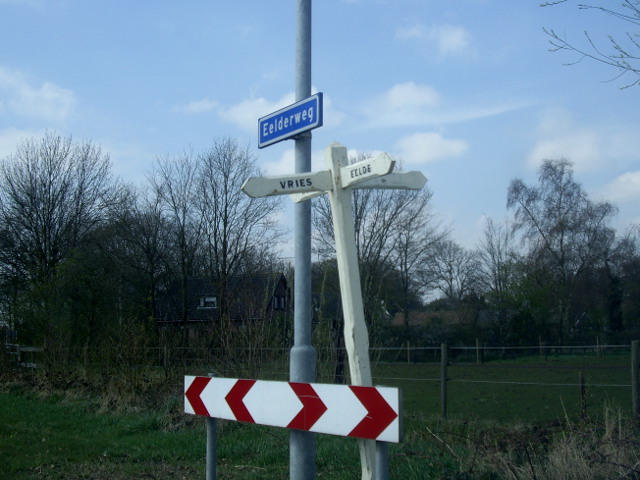 IMGP4266antbunne
