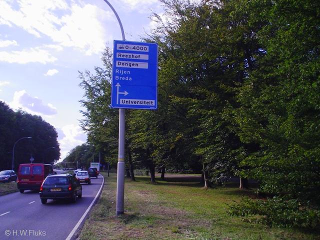 dongenwitDSC05078