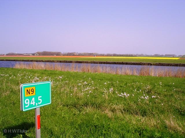 n9bollenDSC04056