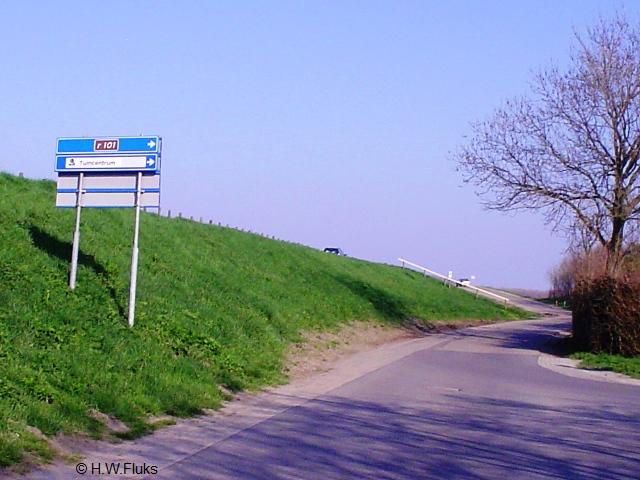 rw101cDSC03930