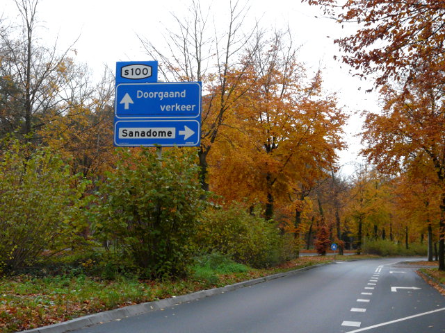 P1010686s100