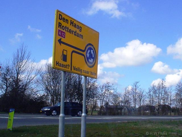 a12haastDSC06216