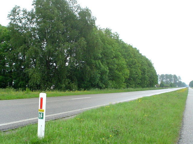 DSC06791n714