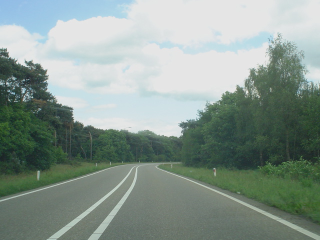 DSC06854n608a