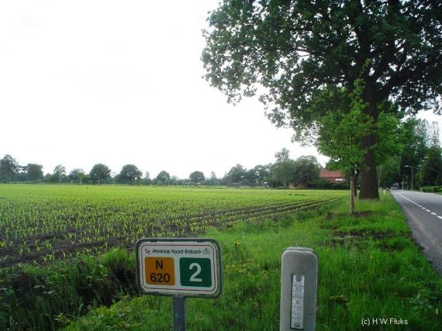 n620
