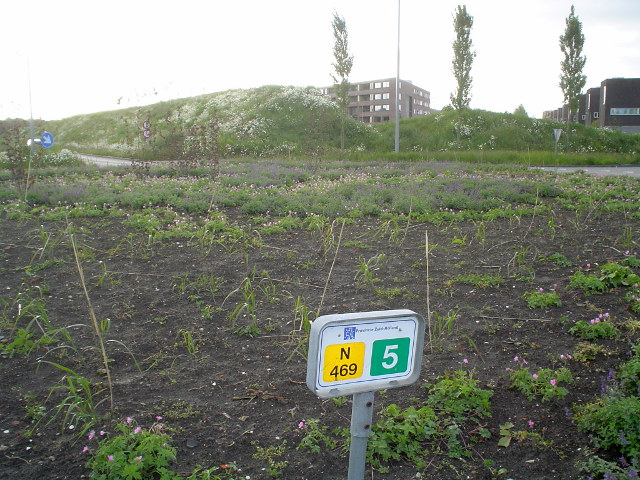 DSC06903n469