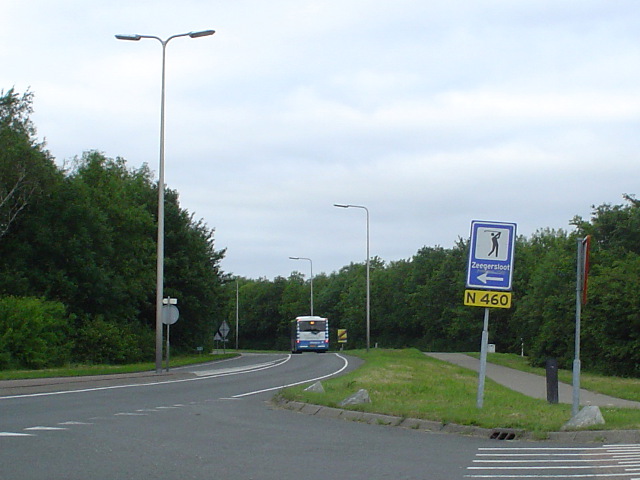 DSC06907n460