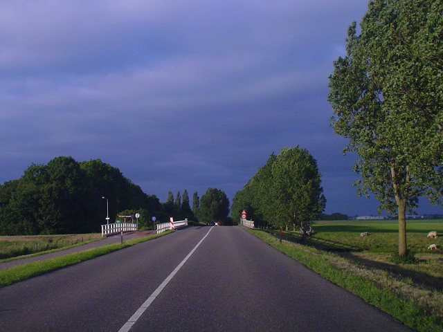 DSC06911n462