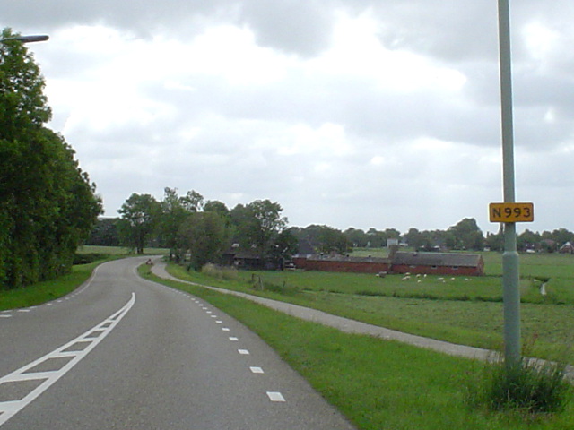 DSC06990n993