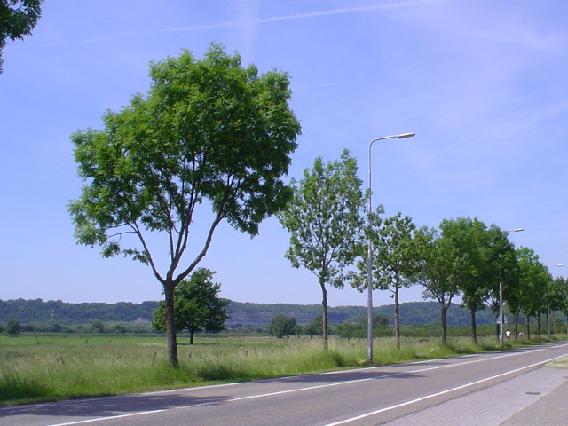 DSC07140n591