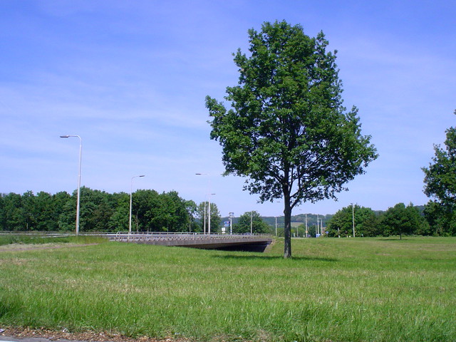 DSC07149n592