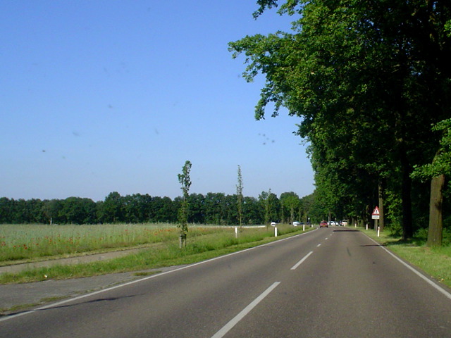 DSC07167n571