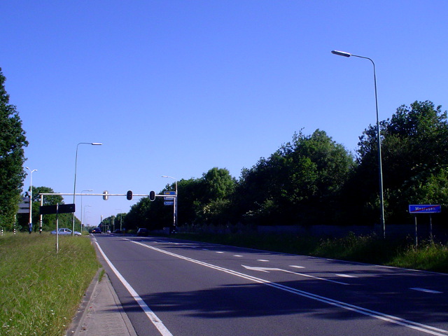 DSC07194n404