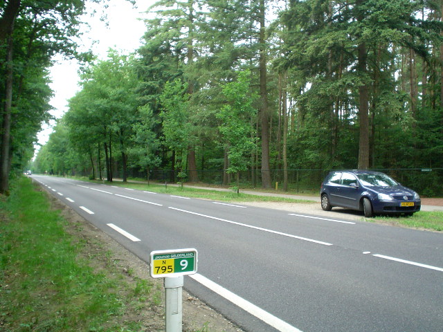 DSC07232n795