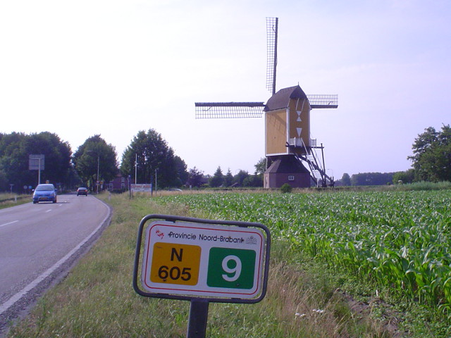 DSC07375n605