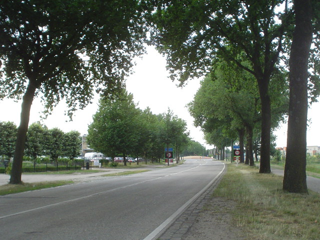 DSC07378n603