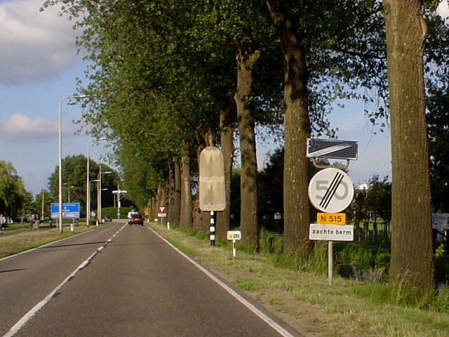 DSC07439n515