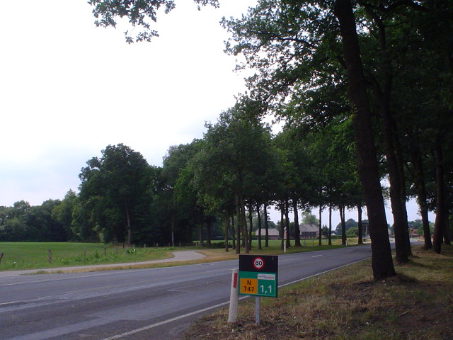 DSC07626n747