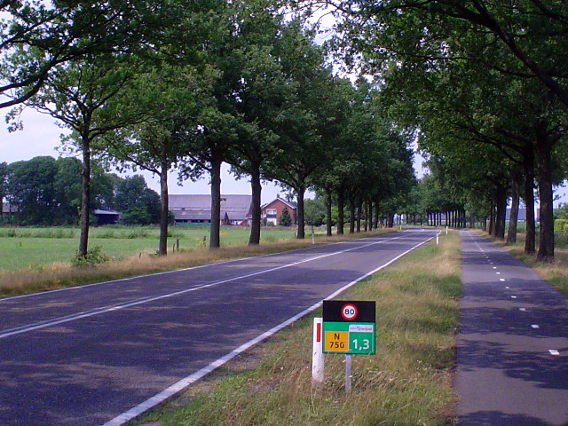DSC07628n750
