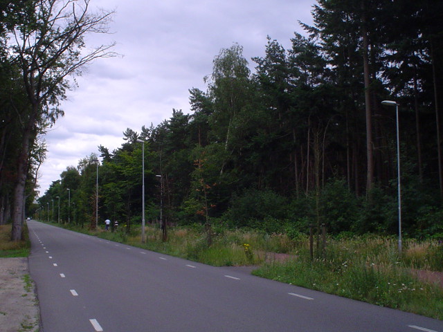 DSC07653n636