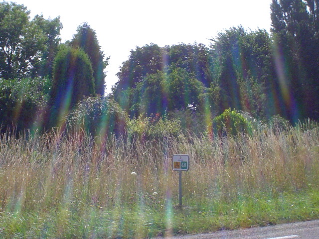 DSC07771n677
