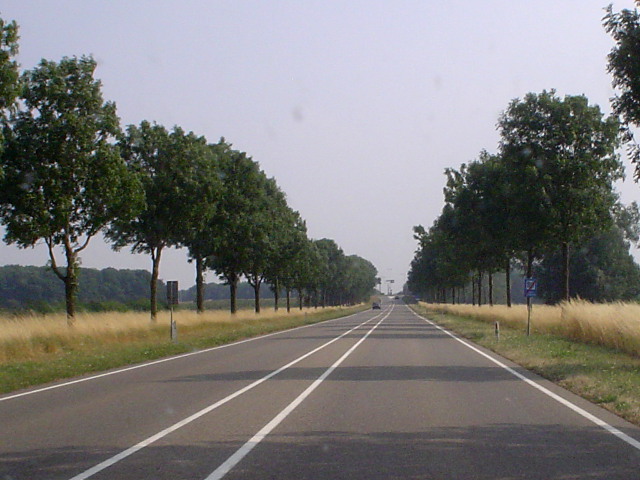 DSC07797n847