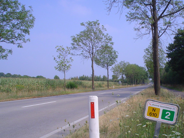 DSC07802n610