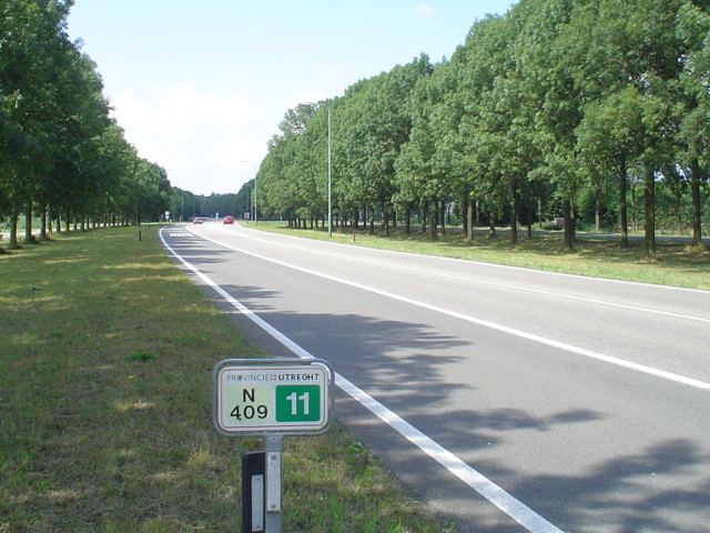 DSC07844n409