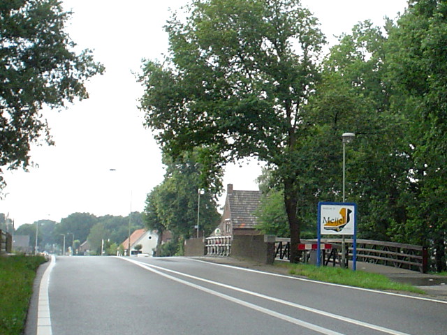DSC07901n561