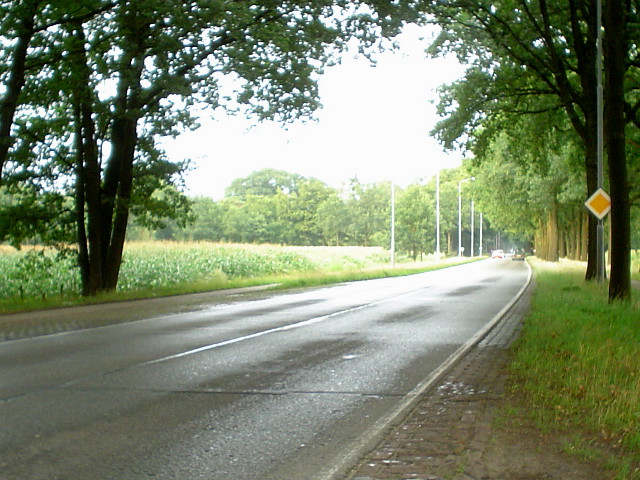 DSC07916n614