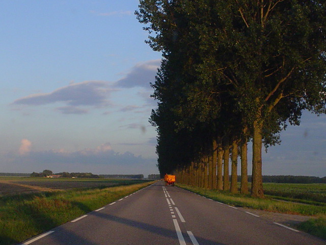 DSC07953n709