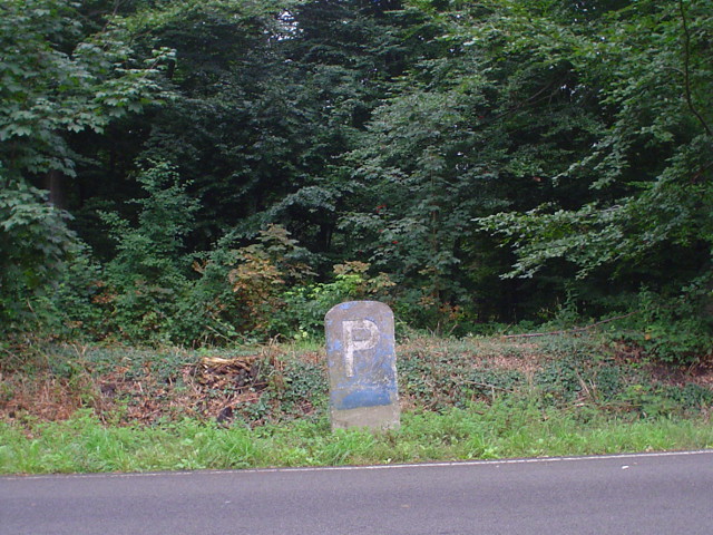 DSC08001n58ppaal