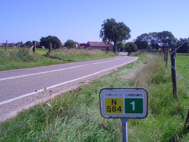 DSC08079n584
