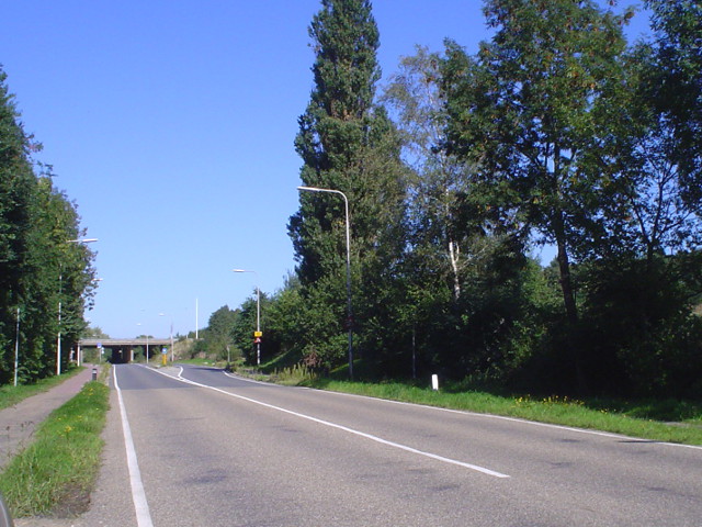 DSC08083n596